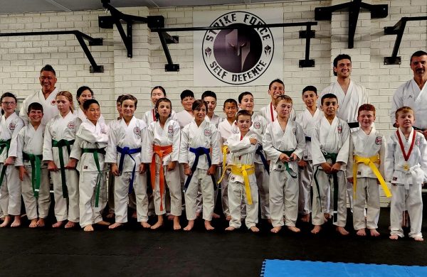 Traditional Shotokan Karate 